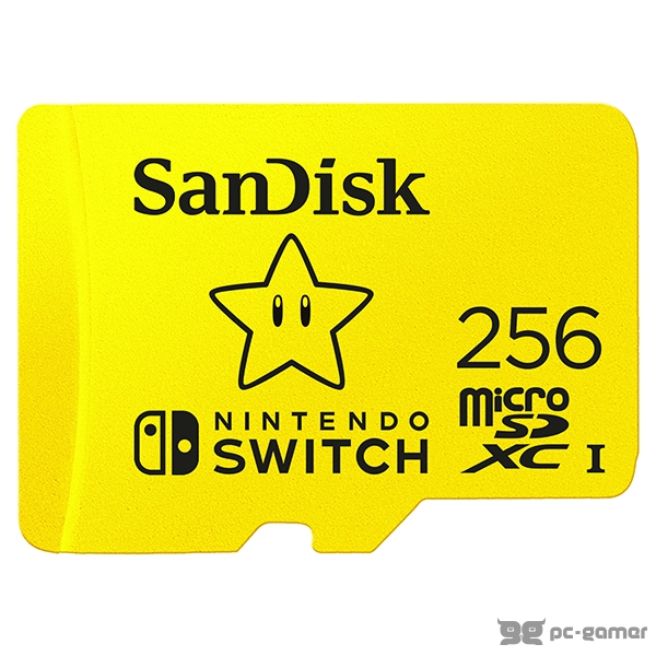 SanDisk Micro 256GB for Nintendo 100/90